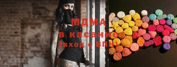 индика Болотное