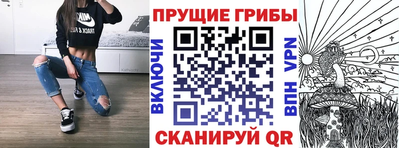 сколько стоит  Чишмы  Галлюциногенные грибы Magic Shrooms 
